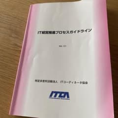IT経営推進プロセスライン　ITコーディネータのサムネイル