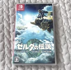 Nintendo switch 젤다의 전설 티어즈 오브 더 킹덤
