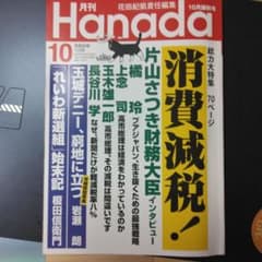 Hanada 10월 소비세 카타야마 사츠키 우에넨지 타마키 안도 유 참정당