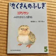 月刊たくさんのふしぎ コアジサシ 2007年5月号のサムネイル