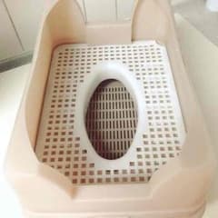 オーカッツ キャットワレのサムネイル
