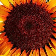 Bell様☆返金用☆のサムネイル