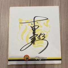 阪神タイガース 赤星憲広 直筆サイン色紙 - メルカリ