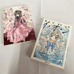 種村有菜 イオン 恋愛物語集 文庫本 2冊セット りぼん 集英社文庫