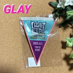 GLAY EXPO 30th GFガーランドバッジ《東京ドーム》2025.6.1 - メルカリ