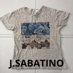 J.SABATINO 花柄プリント Tシャツ グレー