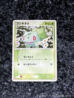ポケモンカード フシギダネ 明治 051/ADV-Pのサムネイル