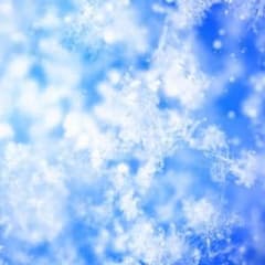 ぐるむ様専用のサムネイル