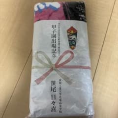 甲子園出場記念 応援タオルのサムネイル