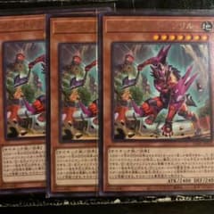 クシャトリラ・フェンリル　3枚　遊戯王のサムネイル