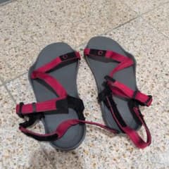 XEROSHOES ゼロシューズ Zトレック　ウィメンズ　 マルチレッド W6のサムネイル