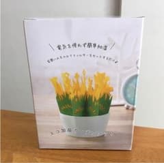 エコ加湿ガーデンフラワーのサムネイル