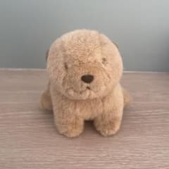ころわん　ぬいぐるみ　レトロのサムネイル