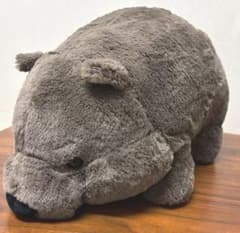 m33604288083_1.jpg?1754143085