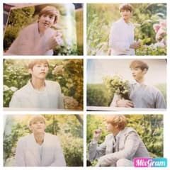 EXO NATURE REPUBLIC 写真集（ブランドカタログ）のサムネイル