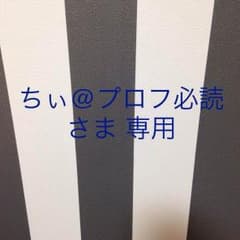 ちぃ@プロフ必読 さま返金用のサムネイル