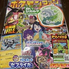 ポケモンファン第91号のサムネイル