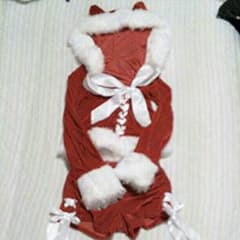 猫耳サンタ　コスプレのサムネイル