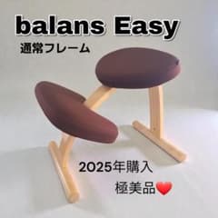 極美品♡2025年購入】バランスラボ バランスイージー 通常フレーム