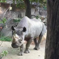 たくみん様専用 ペルソナ3のサムネイル