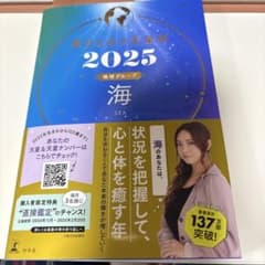 ★ほぼ新品★星ひとみの天星術2025 海〈地球グループ〉のサムネイル