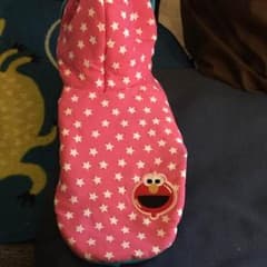 犬服のサムネイル