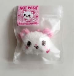 NCT WISH wishdoll ペンライト キーリング めいぐるみ サクヤ - メルカリ