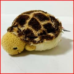 【人気】AURORA オーロラワールド カメ ぬいぐるみ ウミガメ リクガメのサムネイル