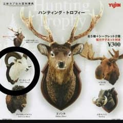 ハンティング・トロフィーのサムネイル