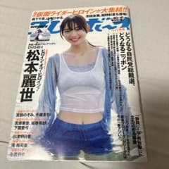 週刊プレイボーイ 2024年No.40・41 松本麗世 DVD付 宮部のぞみ