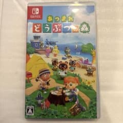 r*t様 Nintendo Switch あつまれ どうぶつの森のサムネイル
