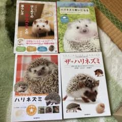 ハリネズミ 飼い方説明本のサムネイル