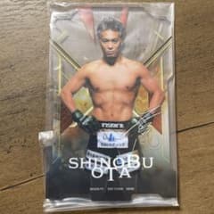 RIZIN 이치 반 쿠지 오타 시노부