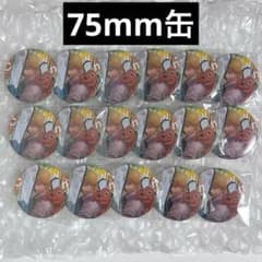 チェンソーマン デンジ ポチタ コレクション缶バッジ 第1弾 17個 新品未使用 チェンソーマン デンジ ポチタ コレクション缶バッジ 第1弾 17個 新品