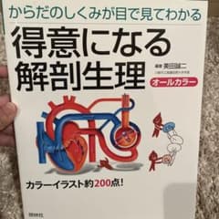 得意になる解剖整理のサムネイル