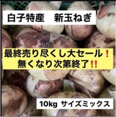 白子産　新玉ねぎ　10kg【サイズお任せ】送料込みのサムネイル