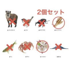 日本のいきもの 03ソメイヨシノ ミスジマイマイ 2個セットのサムネイル