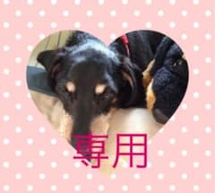 子供用兵児帯女児長さ約240×40のサムネイル