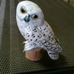 リュウ様専用のサムネイル