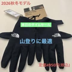 THE NORTH FACE Hikers Etip Glove サイズLのサムネイル