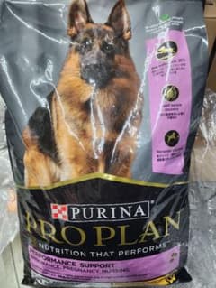 m33658977451_1.jpg?1770162231