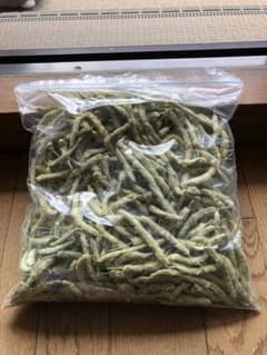 チモシー  穂 (袋・シリカゲル込み70g以上)＋ペレットおまけ付のサムネイル