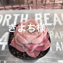 きよち　3/30　31　4/1発送様 リクエスト 2点 まとめ商品のサムネイル