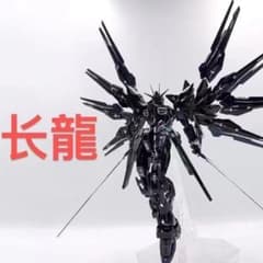 長龍 MGEX ストライクフリーダムガンダム 長龍 MGEX ストライクフリーダムガンダム - メルカリ
