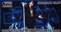 E.YAZAWA 2025 東京ドームライブタオルのサムネイル