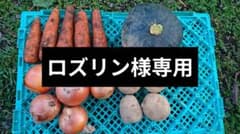 ロズリン様専用のサムネイル