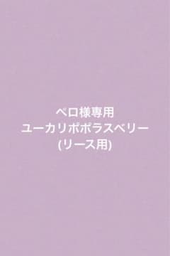 ペロ様専用ページのサムネイル