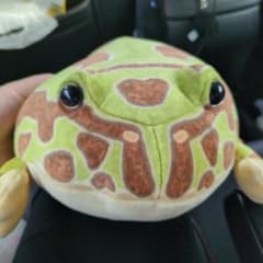 くじ景品 ツノガエル ぬいぐるみ ツノガエルくじ カエル - メルカリ