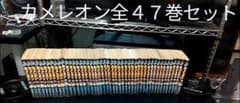 カメレオン全４７巻セットのサムネイル