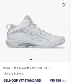 asics GELHOOP V17 STANDARD White Basketball Shoes